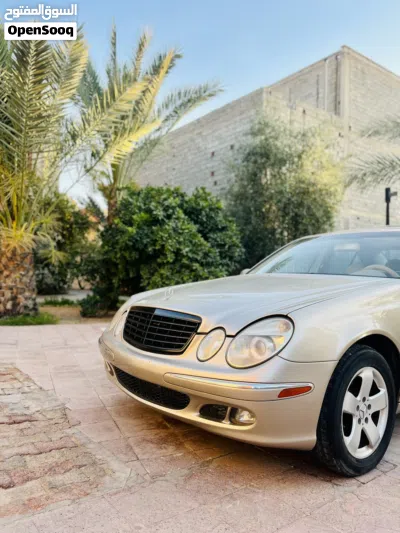 Mercedes Benz E-Class E 320 2
