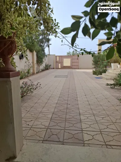 استراحة قريية جدا علي الطريق السريع وادي الربيع 4