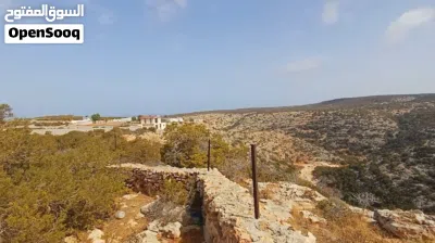 قطعة ارض الوسيطة 3