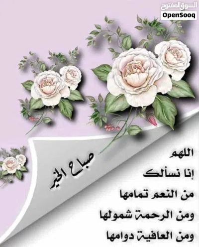عربات اطفال 3