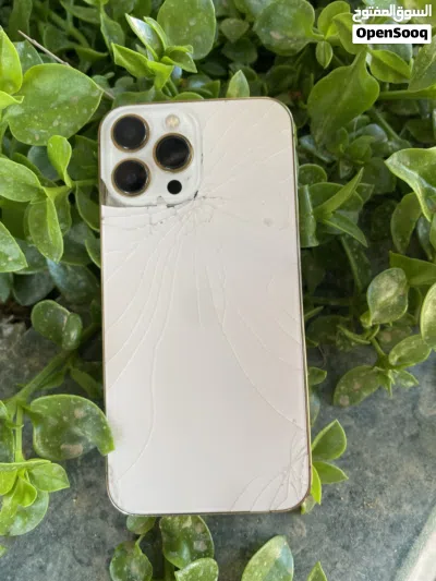 iPhone 13 Pro ماكس 2