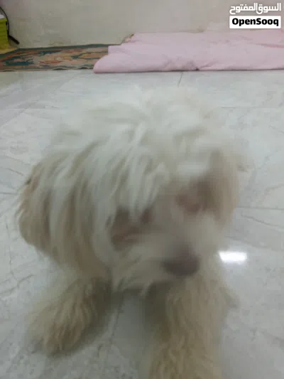 undefined 3