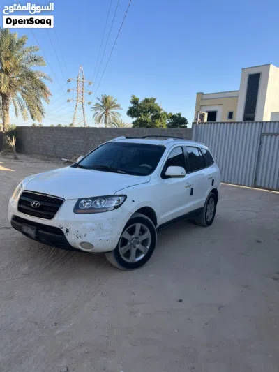 Hyundai Santa Fe Standard 2