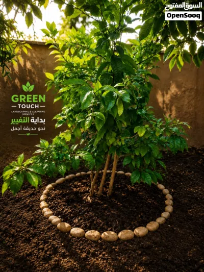 Green Touch لخدمات المنازل والحدائق 4