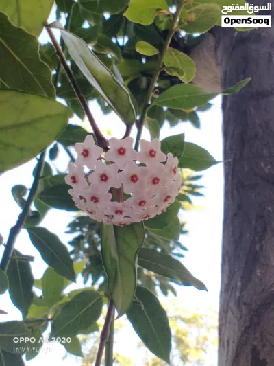 undefined 2