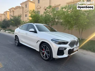 BMW X6 Series X6 xDrive40i 2