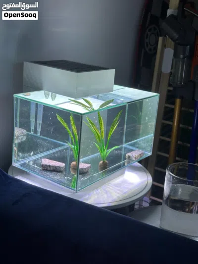 fluval edge 23 litre fish tank 4