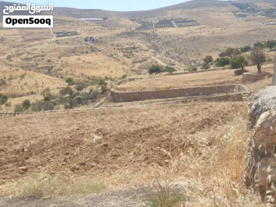 قطعة مميزة مستوية مشغولة مسنسلة مشيكة مطلة على شارعين 5125م فقط 90000 صروت بيرين قرب العالوك والمسرة 3