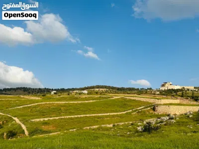 قطعه ارض للبيع في جرش عنيبه وسط احضان الطبيعه الساحره بجانب اسكان المهندسين 4