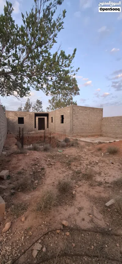 استراحة عظم مقابل شيل البرشة مخطط الشلماني 3