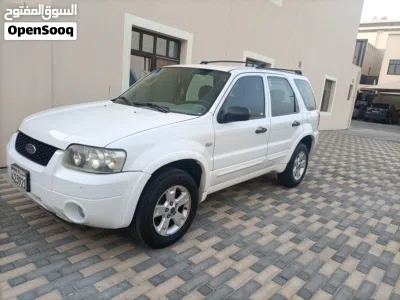 Ford Escape SE 2