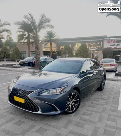 Lexus ES ES 300 2