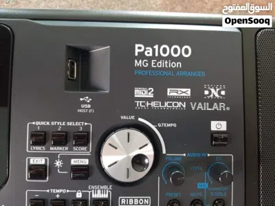 KORG Pa1000 MG Edition. 2