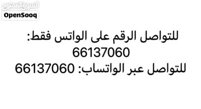 عود اصلي صدف 2