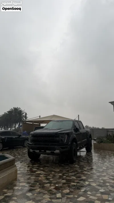 Ford F-150 Raptor 4