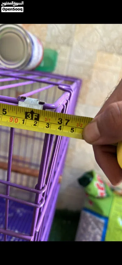 قفص كبير للببغاء والطيور 3