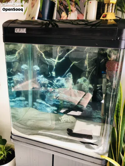Aquarium 60x60x40cms 2