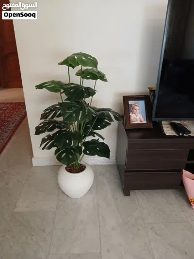 1-زريعة زينة اصطناعية داخلية داخل البيوت ومداخل الصالونات والمنازل مع قوار فيبر مقوى واحجار ممتازة 3