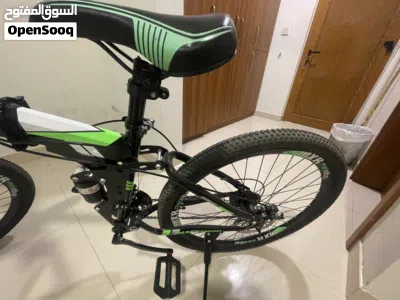 Bicycle Thunderbird-R 2