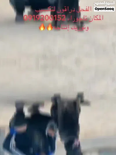 متاح 2 فحوله مواصفات فل لتزاوج فقط مكاني تاجوراء 4