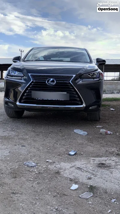 Lexus NX NX 300 2