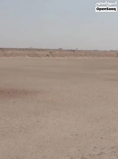 عرض حقيقي للناس الجادة بس 2