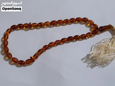 سبح كهرب ابو الحشره 2
