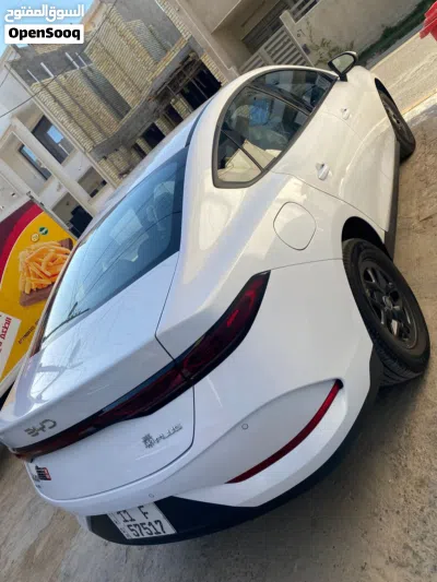 بیوایدی Qin 2