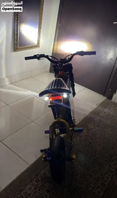 Fidoo/ e-bike 2