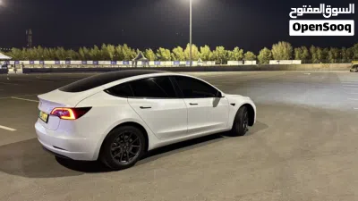 Tesla Model 3 Standard 3