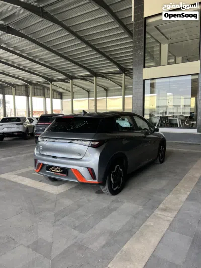 BYD Dolphin 2