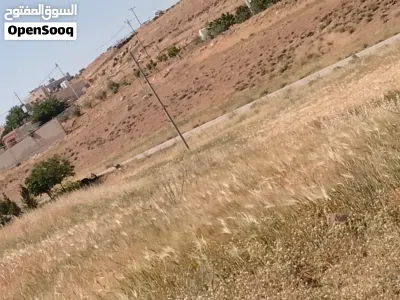 قطعة ارض للبيع 3