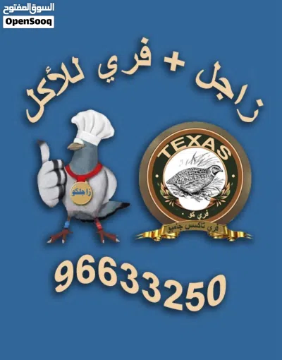 متوفر لحم فري تاكسس حجم وبيض 3