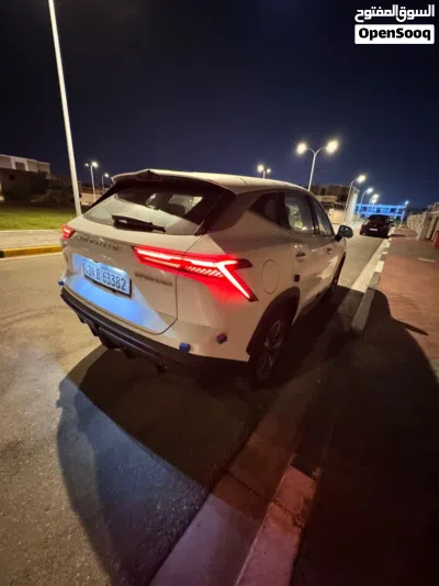 جیتۆر داشێنگ 3