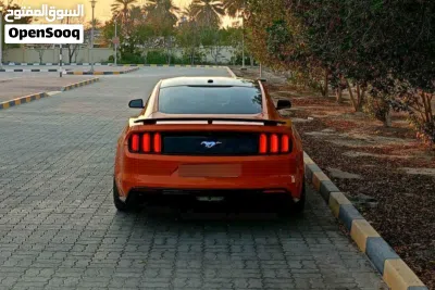undefined 3