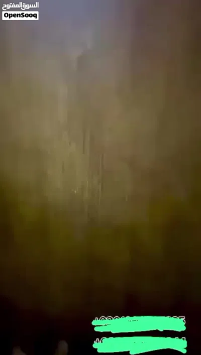 شقه ايجار في المهندسين 3