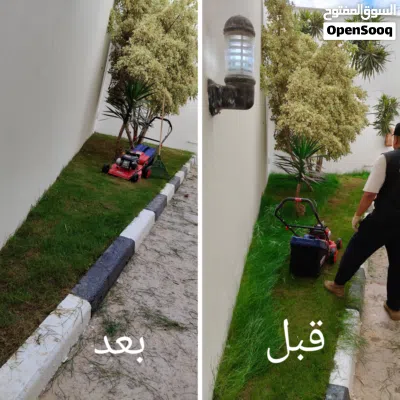 تقليم اشجار وتنسيق حدائق 4