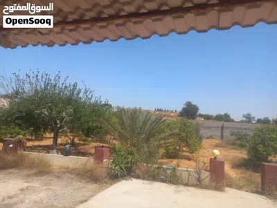 حوازه زراعية مشجره كامله 2