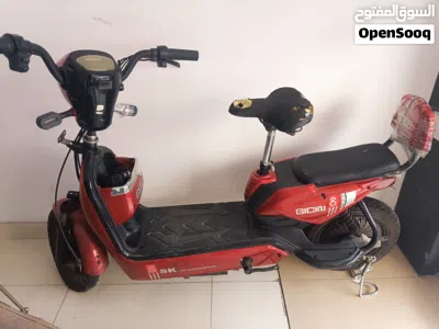 electric scooter 3