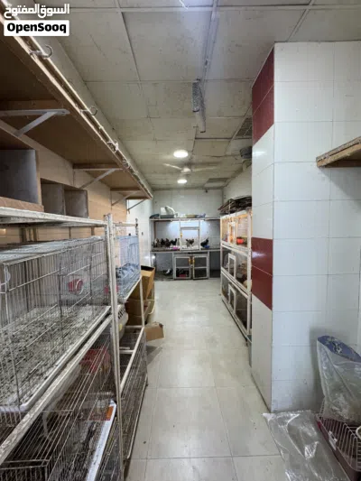 Shop for sale 3