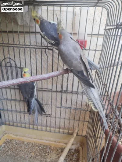 undefined 2
