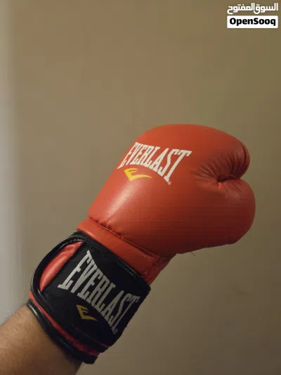 Everlast 12oz Leather Boxing Gloves 3