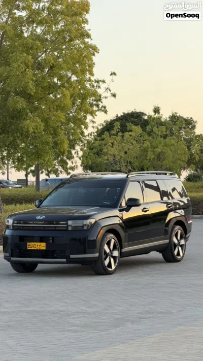 Hyundai Santa Fe Standard 3
