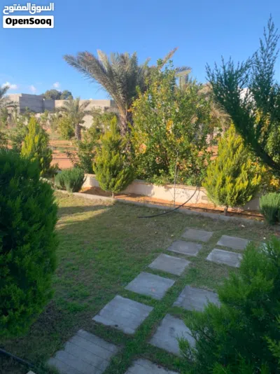 مزرعة 4000 متر جهة مثلث الجزارين الباعيش بها أكثر من 400 شجرة و 14 صنف فاكهة شارع مغلق وبها استراحة 4