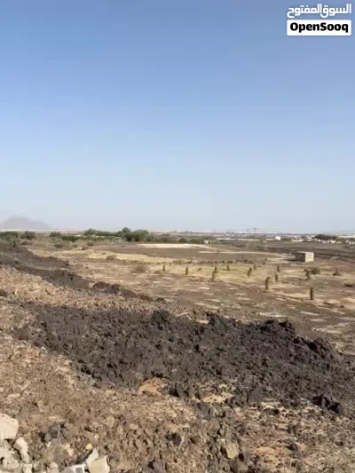 ارض زراعيه للبيع 2