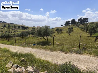 مزرعة للبيع في جرش في مشرع نقابة المهندسين 3