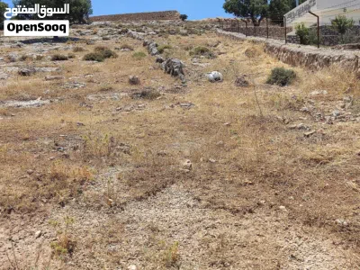 ارض 1173 متر صروت حوض البلد على شارعين مطله ومرتفعه فيها أشجار بلوط جميلة المنظر . 2