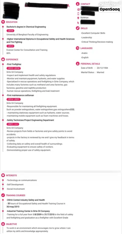 تصميم سيره ذاتيه احترافيه للبحث عن العمل cv design with specific details 2
