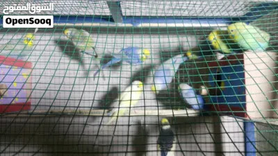 undefined 2
