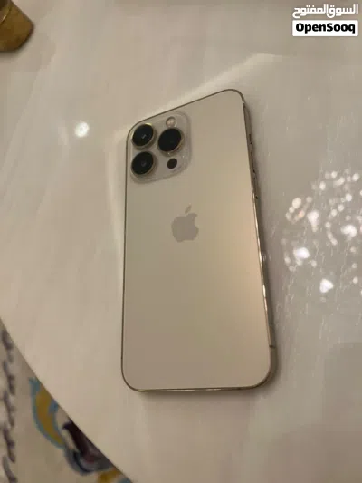 proايفون 13 2